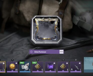 The Battlepass Is Bugged