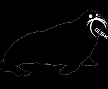 Ever noticed Gskills Logo looks like a walrus face?