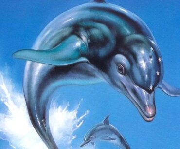 Ecco the Dolphin: Complete announced, includes every version of the original entries, packed with bonus features, and all-new game