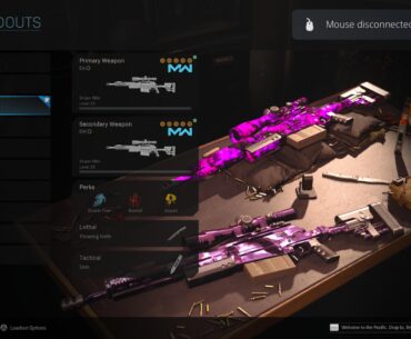 I love the bugs this game has