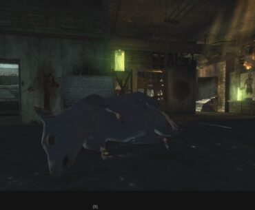Dead rat in labs at WAW Riese