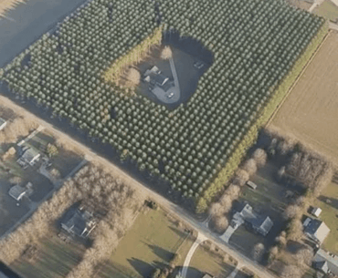 Anyone know what CPU socket this is?