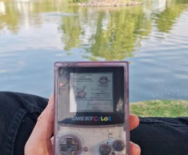 Enjoying the Sunday afternoon ( game boy color / pokemon red version )