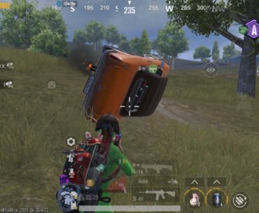 Never let cats drive