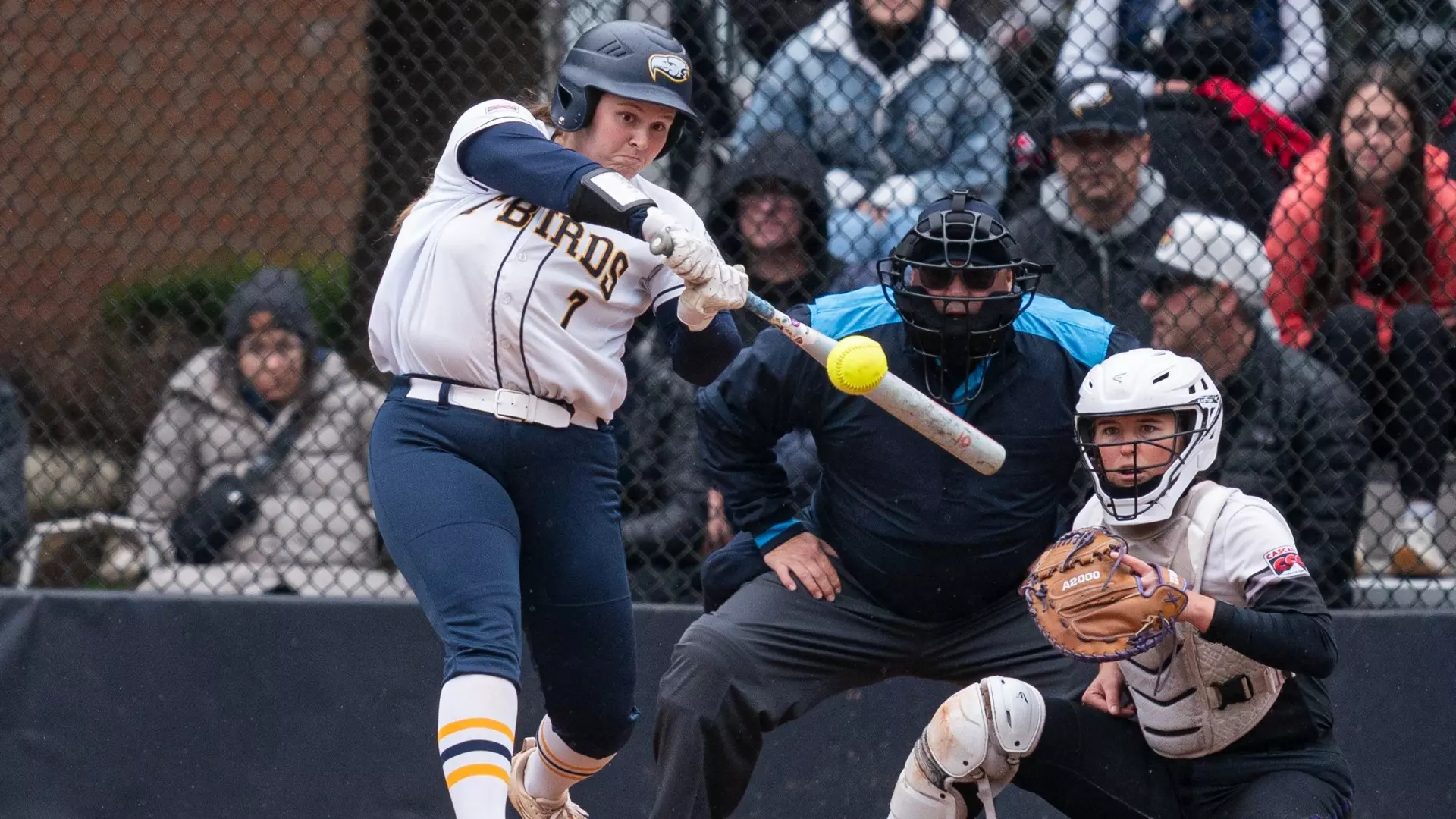 Jessica Heutink swings at the ball as it comes over the plate