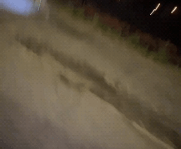 Robot "dog" patrolling Atlanta, GA