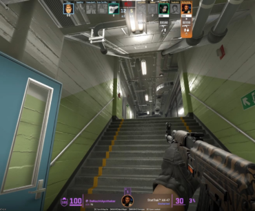 best ragdoll I've seen in a while