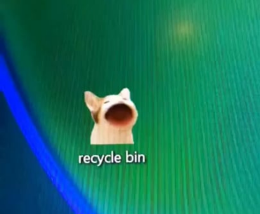 Cat bin