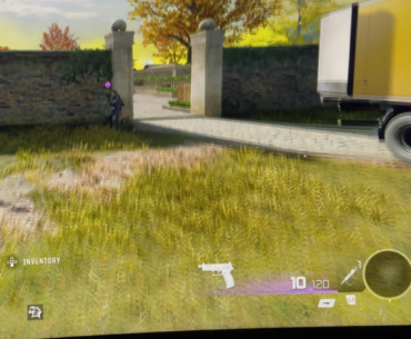 Are the servers cooked orrrrrr?