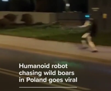 Humanoid robot chasing wild boars