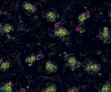 [OC] Digital organisms are growing inside this simulation