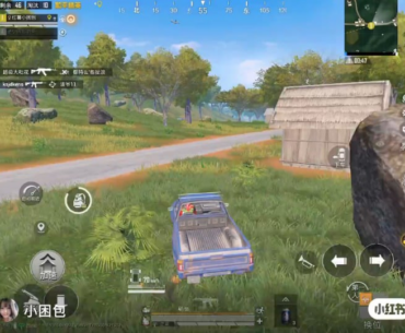 The pure gaming woman!