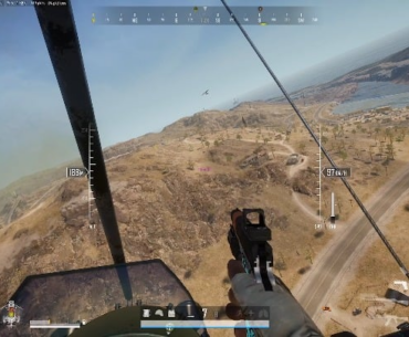 Lynx in a dogfighting op.