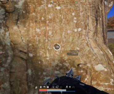 What are your thoughts about the ACE?