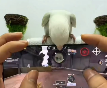 Aimbot ❎ Aimbird ✅