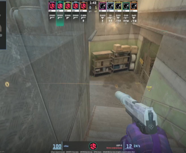 Video evidence of nifee deliberately dying in molotovs to win his bets