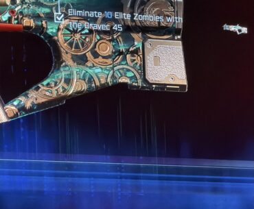 Treyarch give me my camo!!