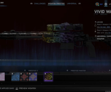 New Vivid Wave - What are the best Prestige lvl250 camo's to grind for?