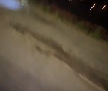 Robo security dog doing his rounds