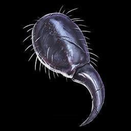 My experience & guide on getting the spider fang relic.