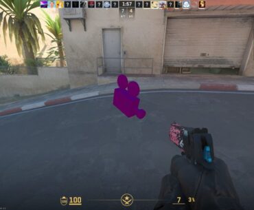 does anybody know what this is?