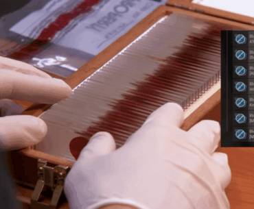 surviving a hot drop after the update be like: