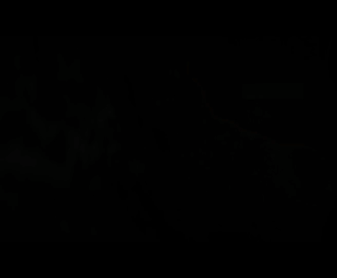 Welcome to Las Almas (2022) [COD]