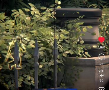 Yo overpass wallbang dude, Zywoo used ur technique