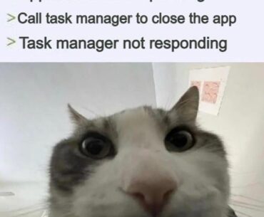 Well, you tried