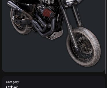 Has anyone seen this in game?