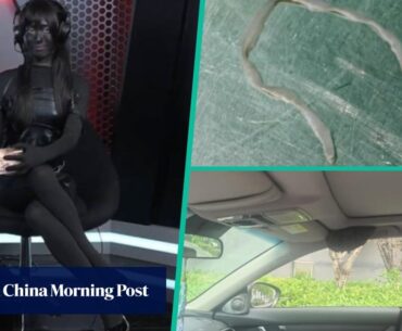 Quirky China: doctor removes worm from woman’s brain, under-fire gamer dyes her skin black