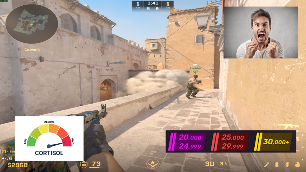 high cortisol premier vs low cortisol competitive