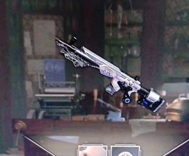 Got my Mk12 obscura skin