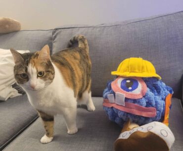 My best friend spent months beating the obscure platformer Dr. Muto (2002) this year. There’s almost no merchandise available online, so I handmade a Gomer plushie for her birthday.