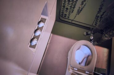 V has 3 seashells instead of toilet paper.