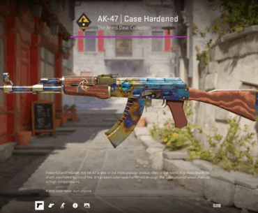 What paint  seed is this? (screenshot)