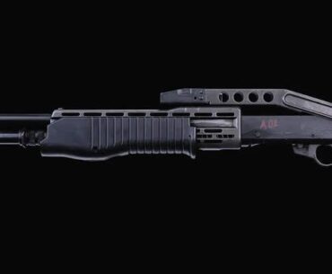 Anyone else want the Spas-12 to return?