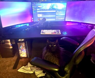 Are you winning son?