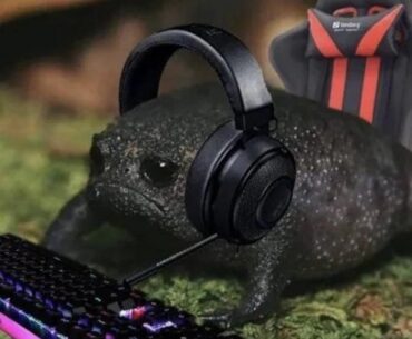 Should i get a new Pc Now or wait ?