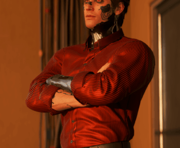 Thoughts on my male V?