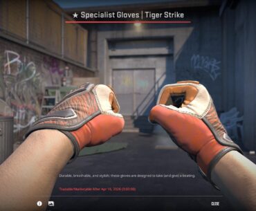 Got my set of gloves !