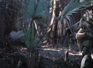 Anyone got these bundles to gift me or trade please😭🙏