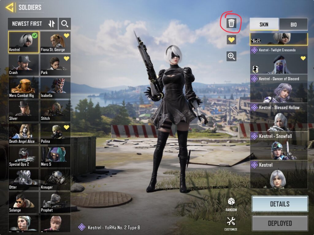 What does this icon do? I am afraid to check out myself because I don’t want to remove any of my skins permanently.