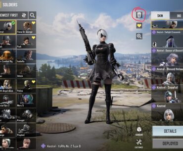 What does this icon do? I am afraid to check out myself because I don’t want to remove any of my skins permanently.