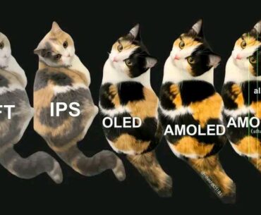 Could someone who has used all these types of panels finish the meme by adding the cat related to the VA panel?