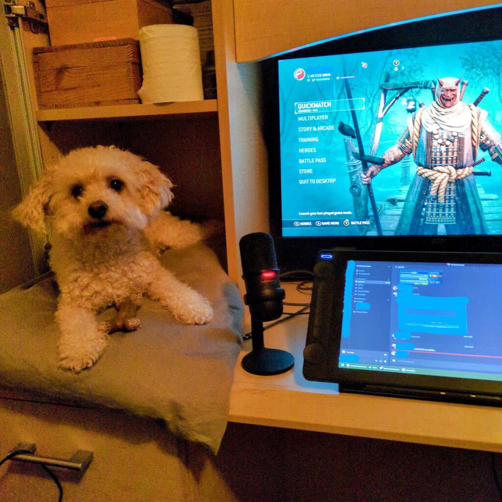 How My Dog Chills With Me When I'm Gaming