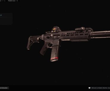 Built the custom Sig MCX Virtus from the Loading Splash