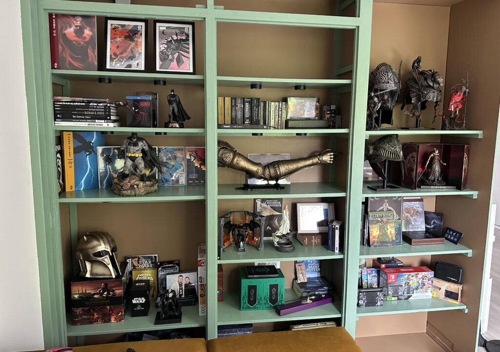 My gaming / pop culture library. I made some space !