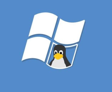 The French Government is swapping from Windows to Linux