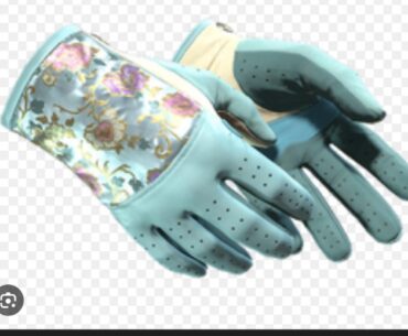 Best knife to match ?!?